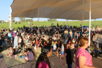  فعاليات شيّقة للأطفال في متنزه العجمي بمدينة يافا